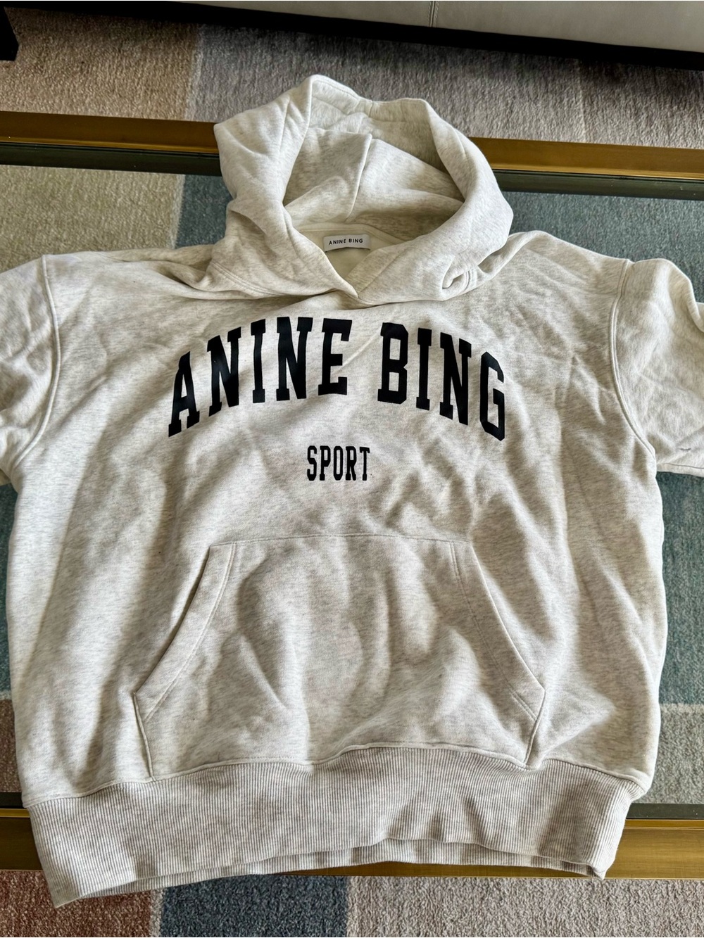 Anine Bing Sport Hoodie in Heather Gray
